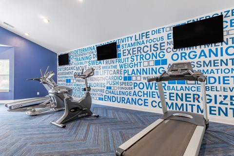 a gym with weights and a tv on the wall