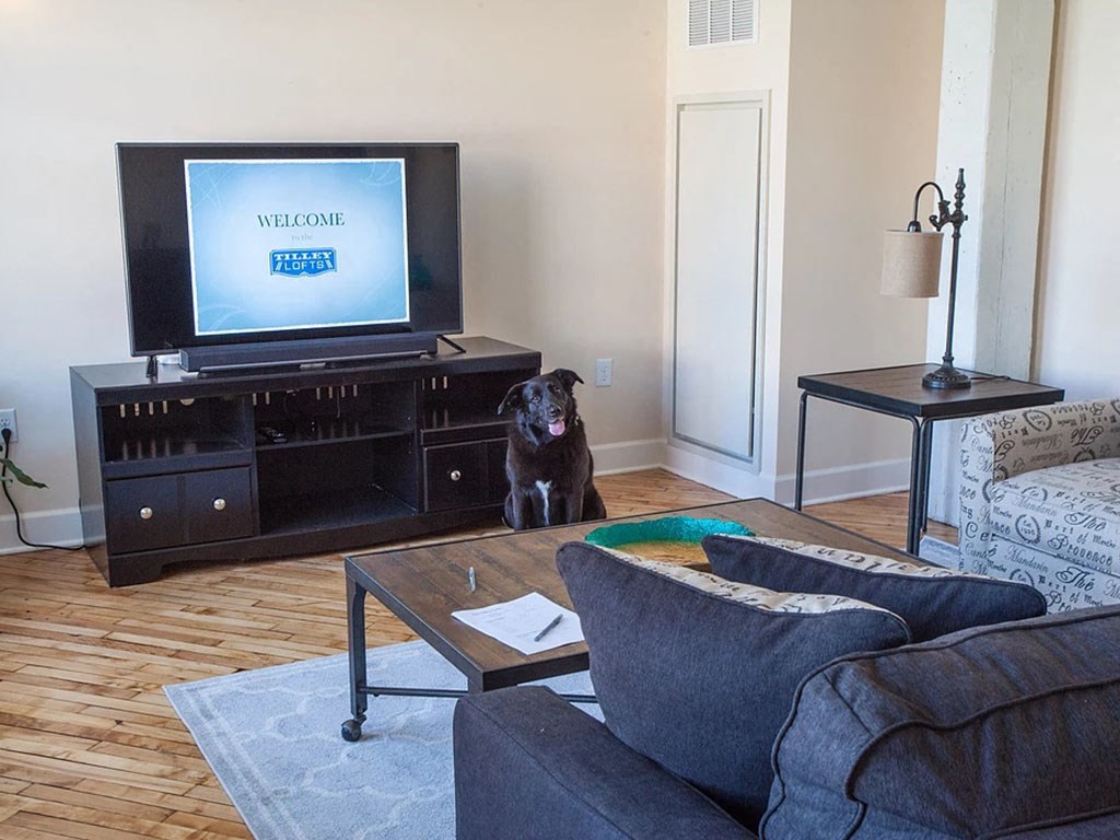 a living room with a dog sitting in front of a television