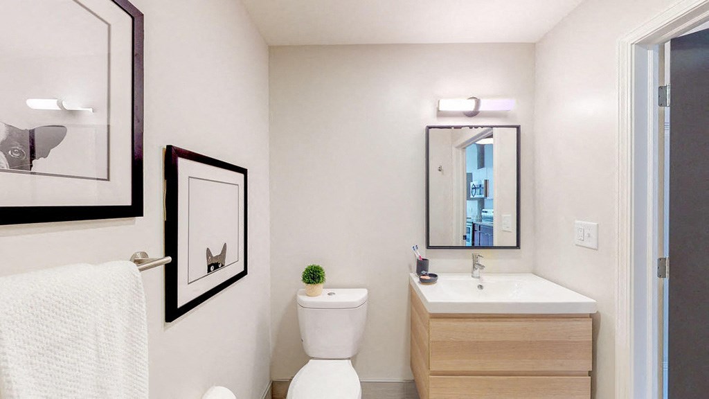 a bathroom with a sink toilet and a mirror