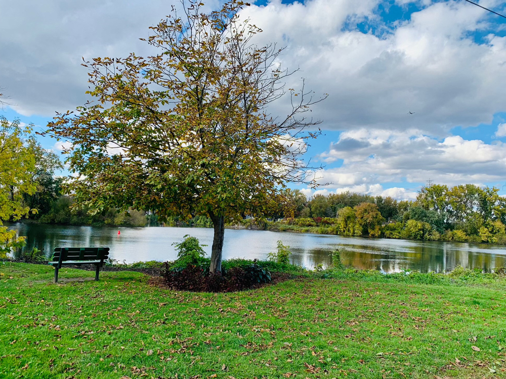 Riverside Park, Historic Stockade District