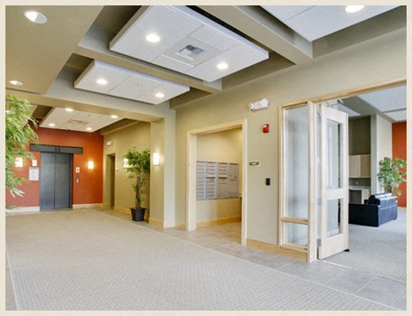 an empty lobby with doors and a plant