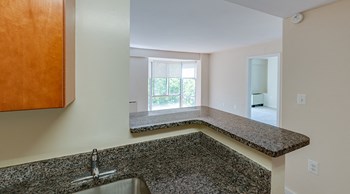 Kitchen counter & bar area - Photo Gallery 18