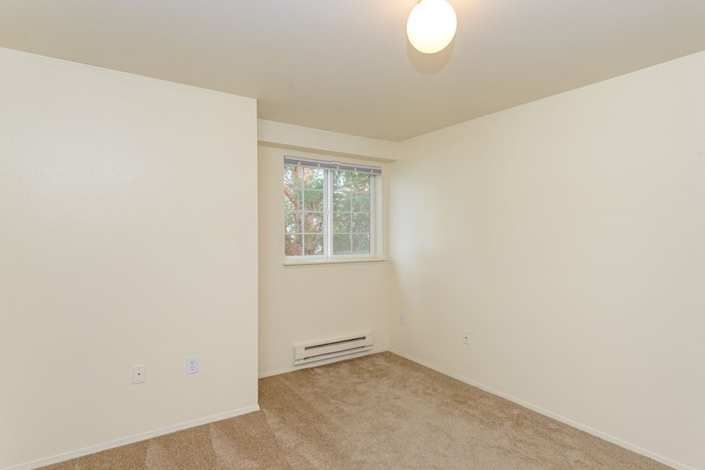 a living room with carpet and a window