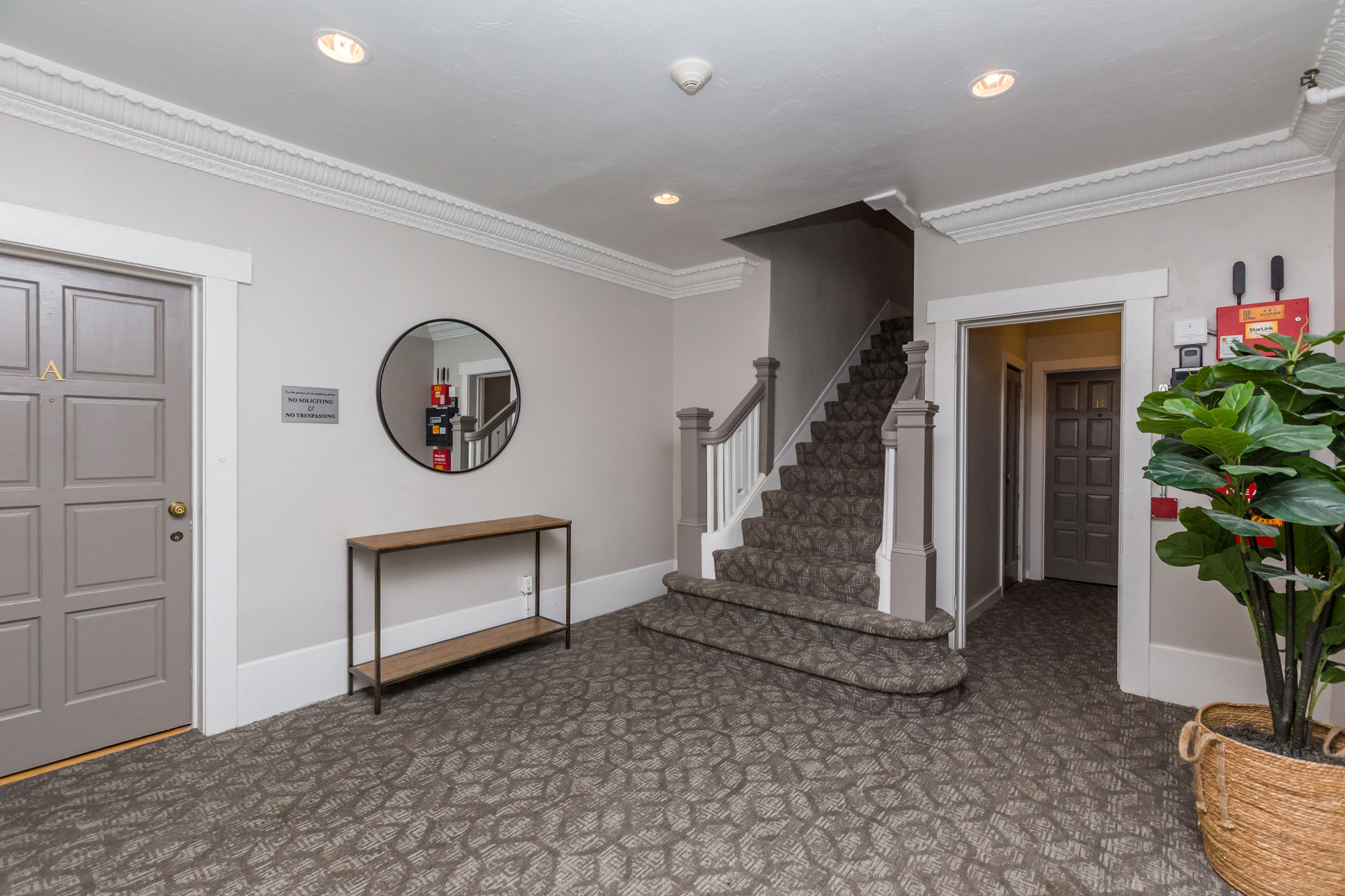 A hallway with a grey carpet, a mirror, a bench, and a staircase.