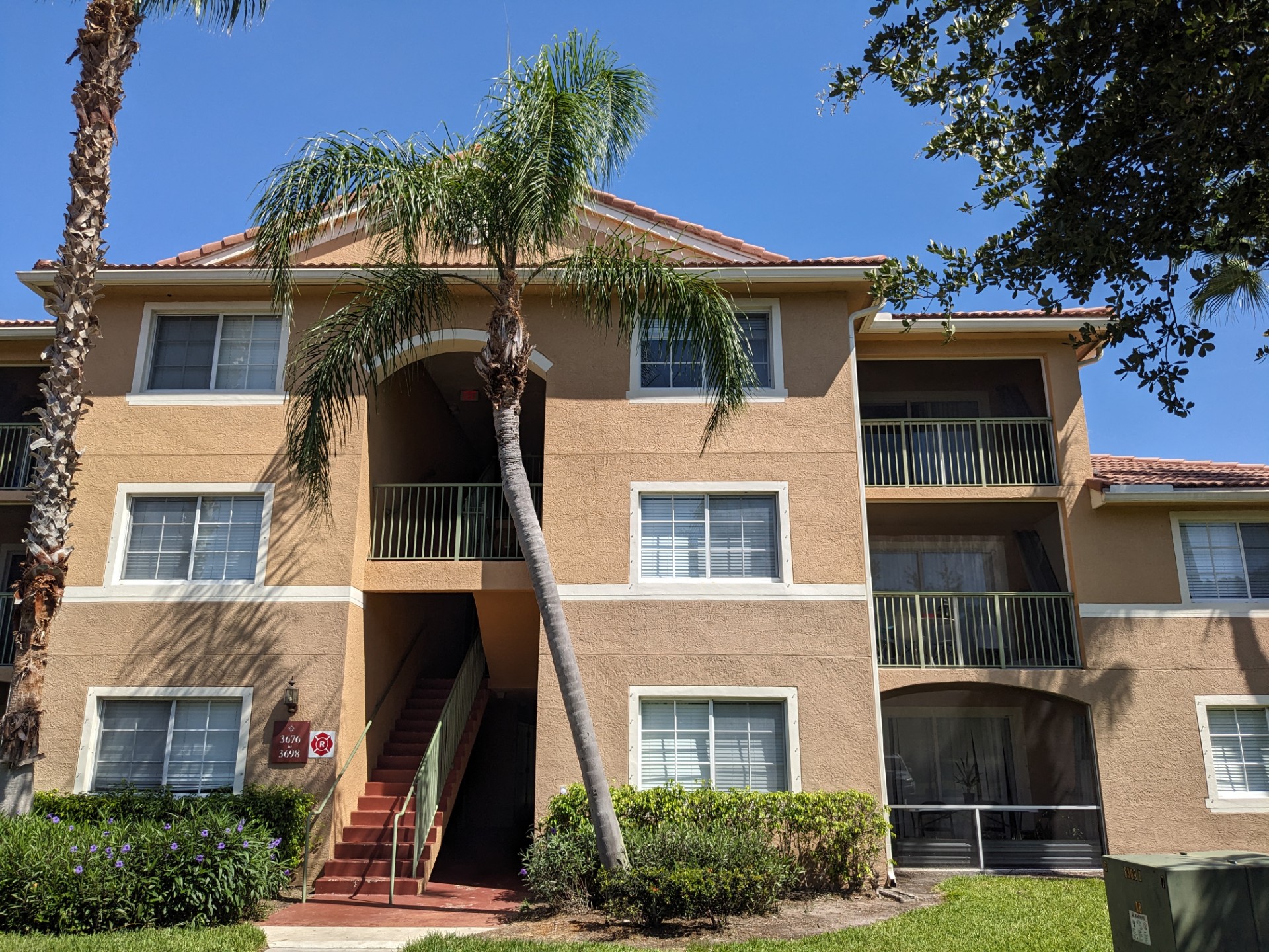 a palm tree leaning against the side of an apartment building