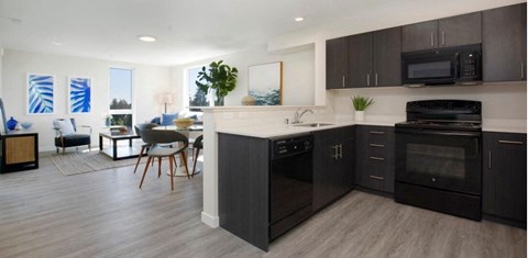 A modern kitchen with black cabinets and a wooden floor.