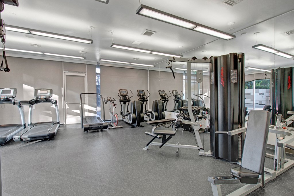 a gym with various cardio machines and weights