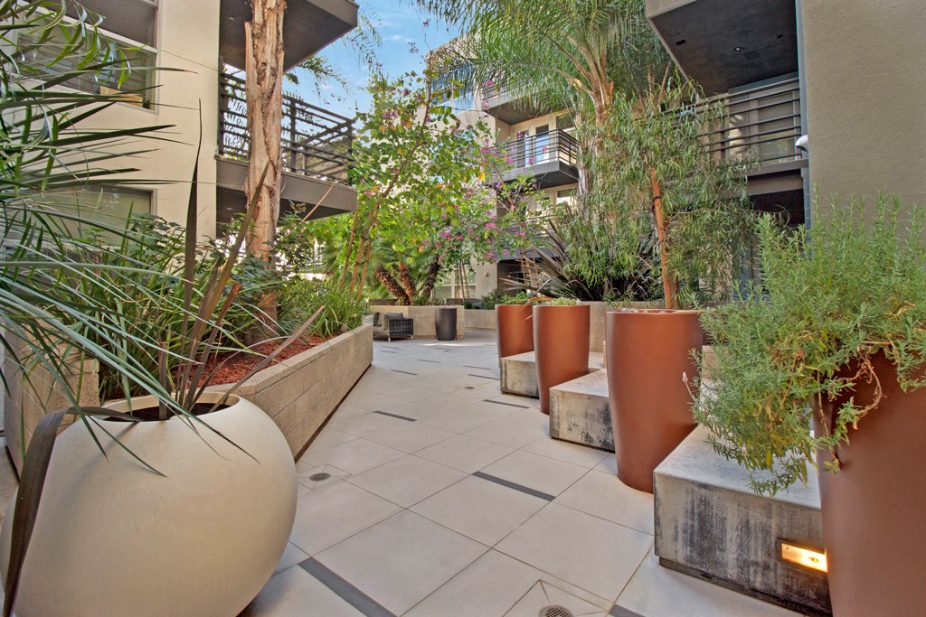 an outdoor area with potted plants and a building