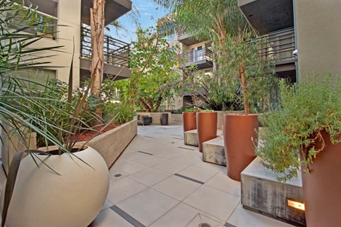 Fiona - Apartments in West Hollywood, CA