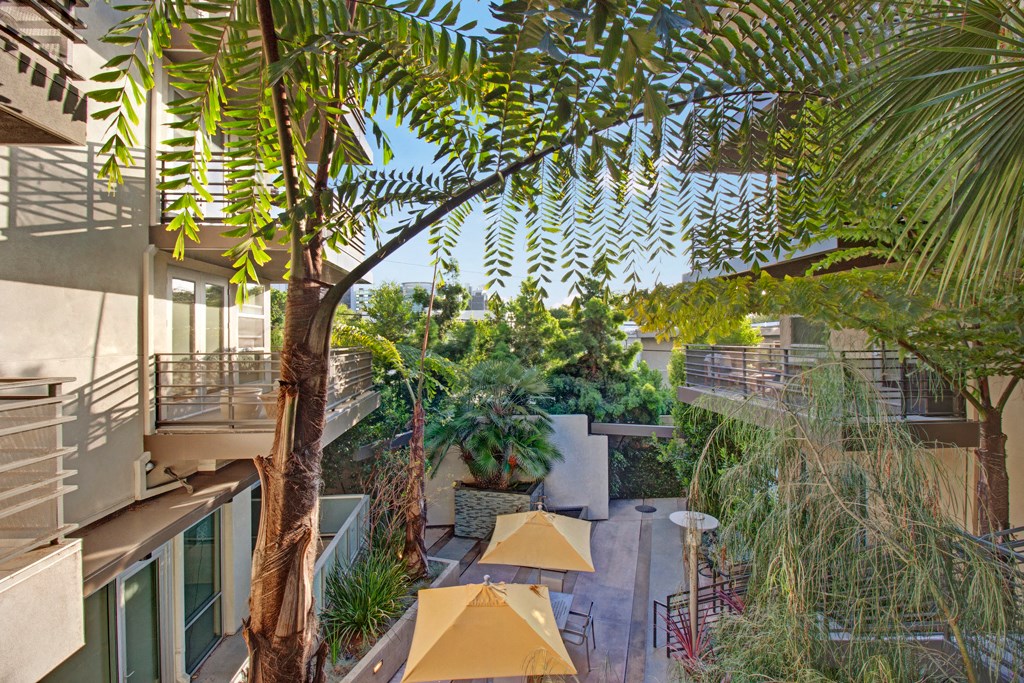 a view of the courtyard of a hotel with trees and umbrellas