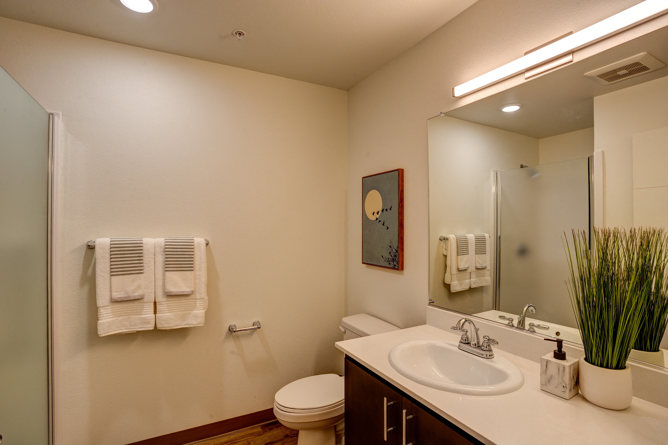 Band New Studio Apartments Portland