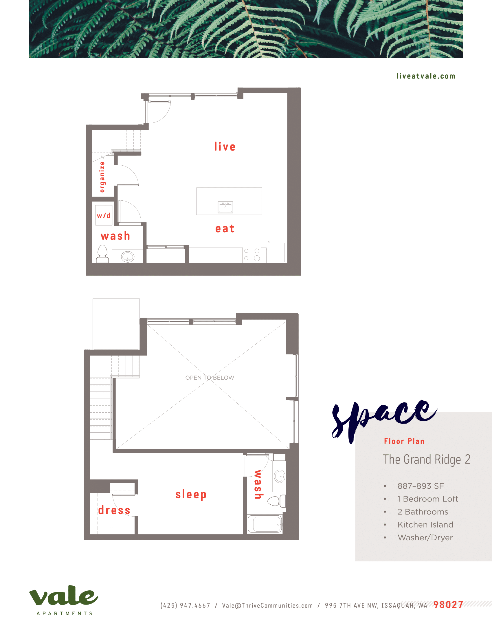 1 Bd + Loft  - B