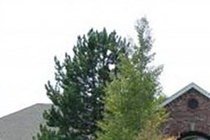 Westlake Greens Leasing Office brick front entrance with yellow flowers and plants in from