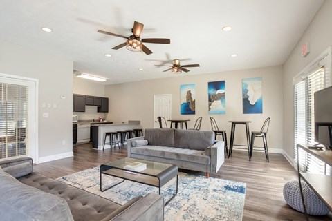 A living room with a grey couch and a glass coffee table.