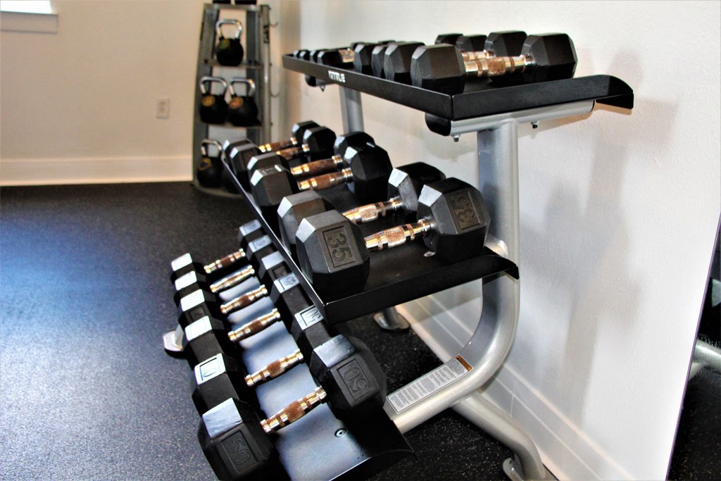 a row of weights and dumbbells on a rack in a gym