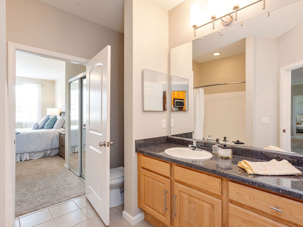 a bathroom with a sink and a shower and a mirror