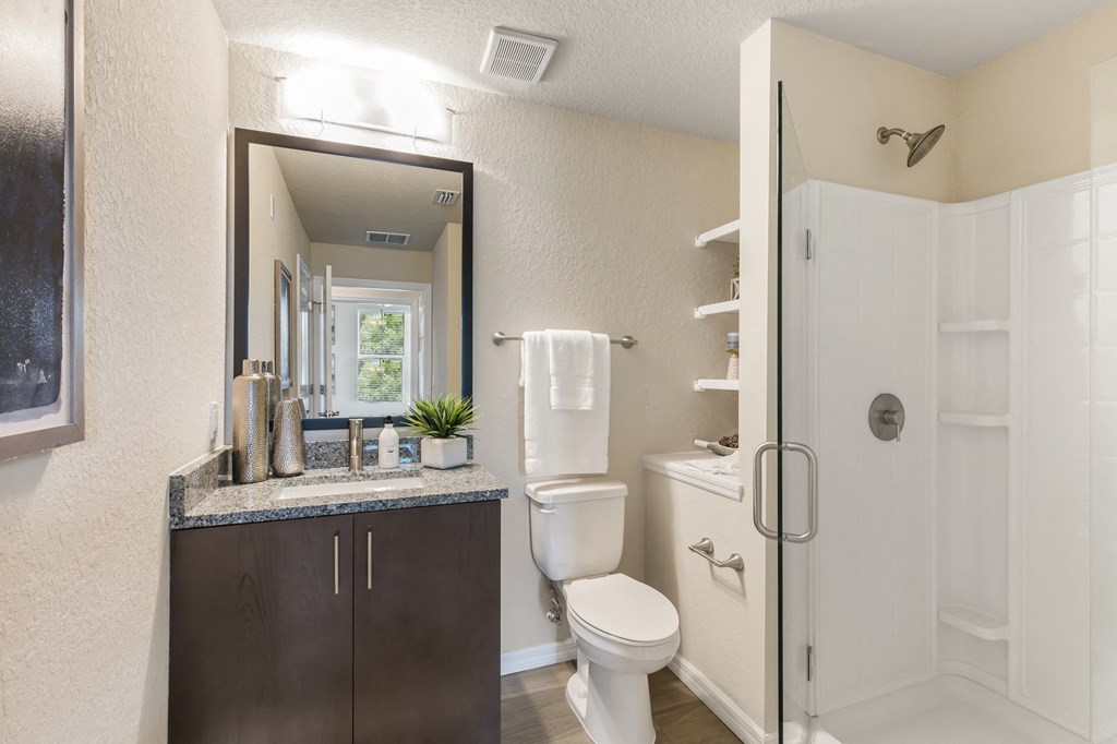 a bathroom with a shower toilet and sink and a mirror