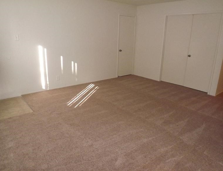 an empty living room with carpet and white doors