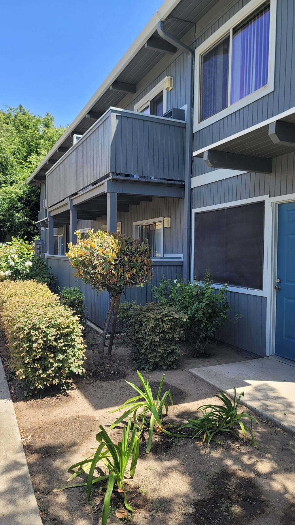 the side of a building with a sidewalk and plants in front of it