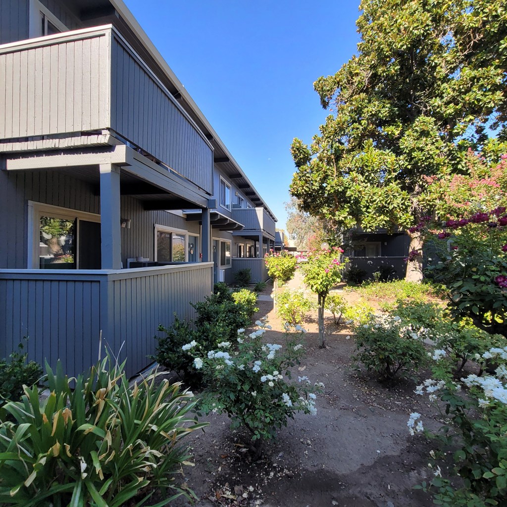 the front yard of a house with a garden and trees