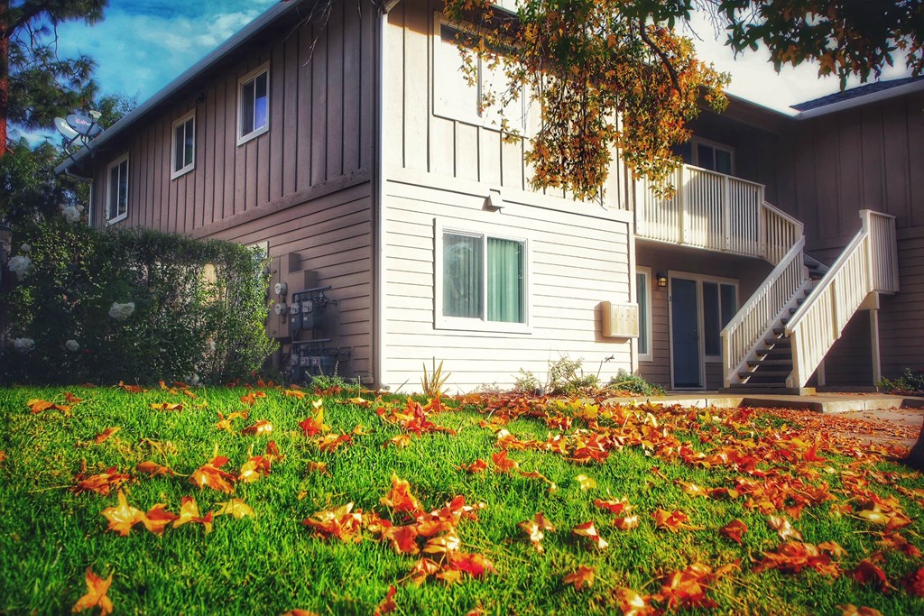 A house with a lawn full of fallen leaves.