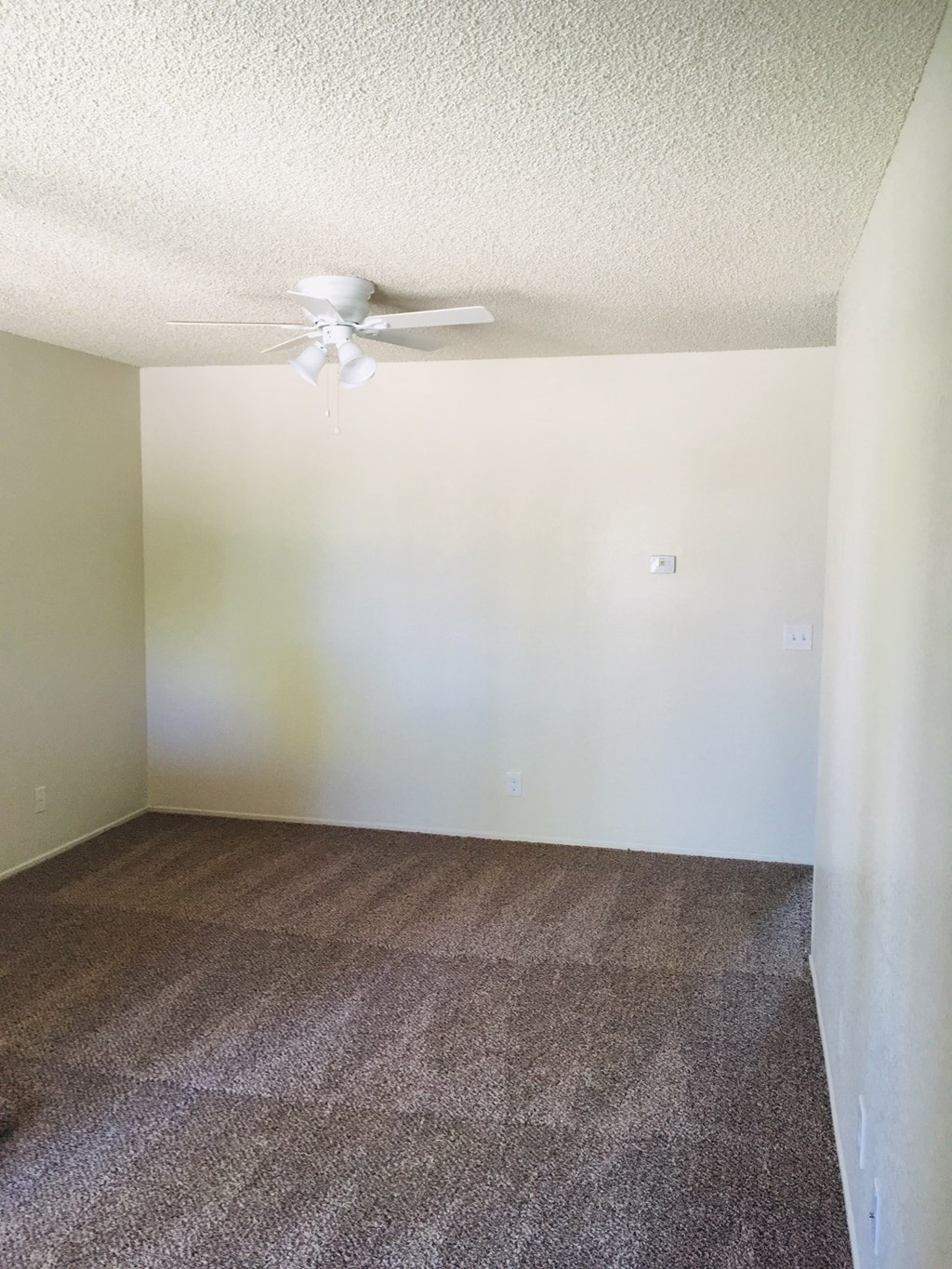 A room with a ceiling fan and carpeted floor.