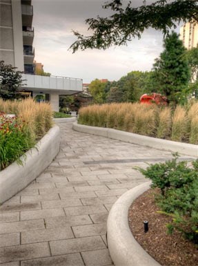 a walkway in a park with plants and trees