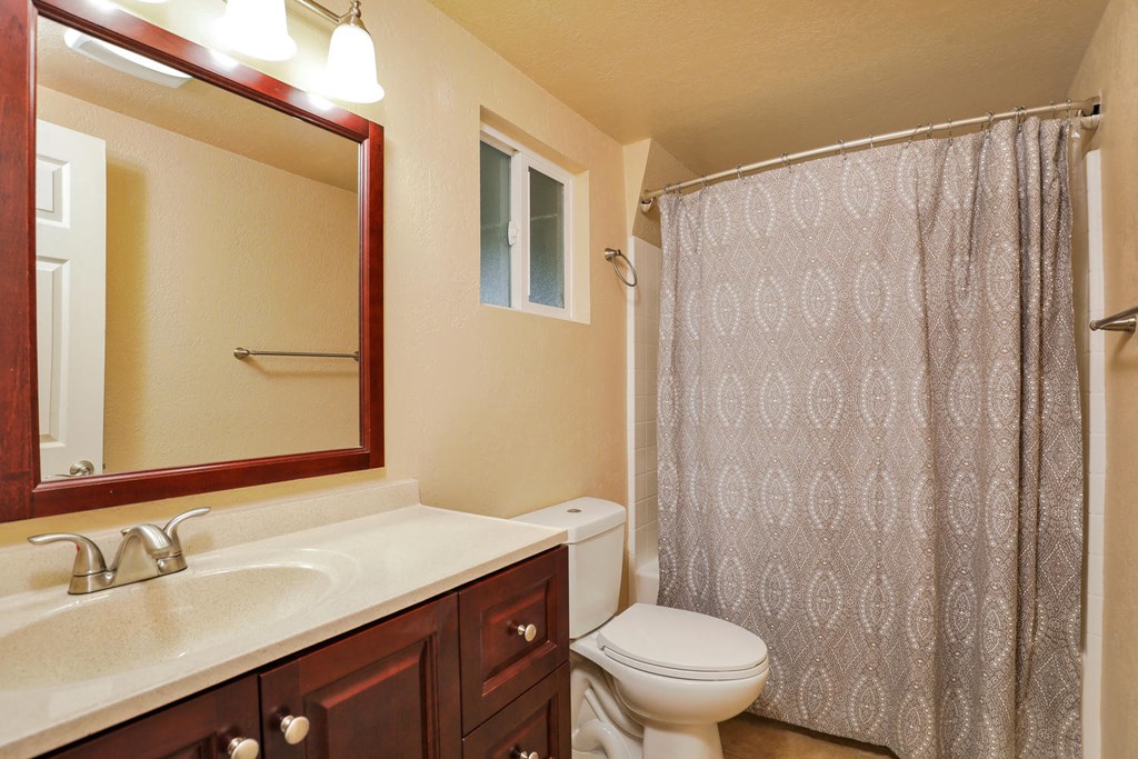 a bathroom with a shower and a toilet and a sink