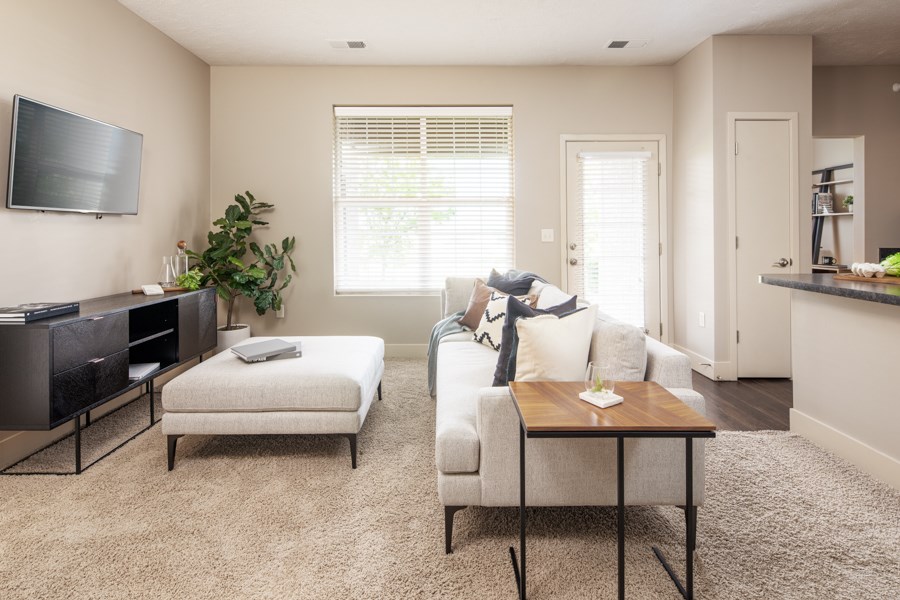 A living room with a couch, a chair, a coffee table, and a television.