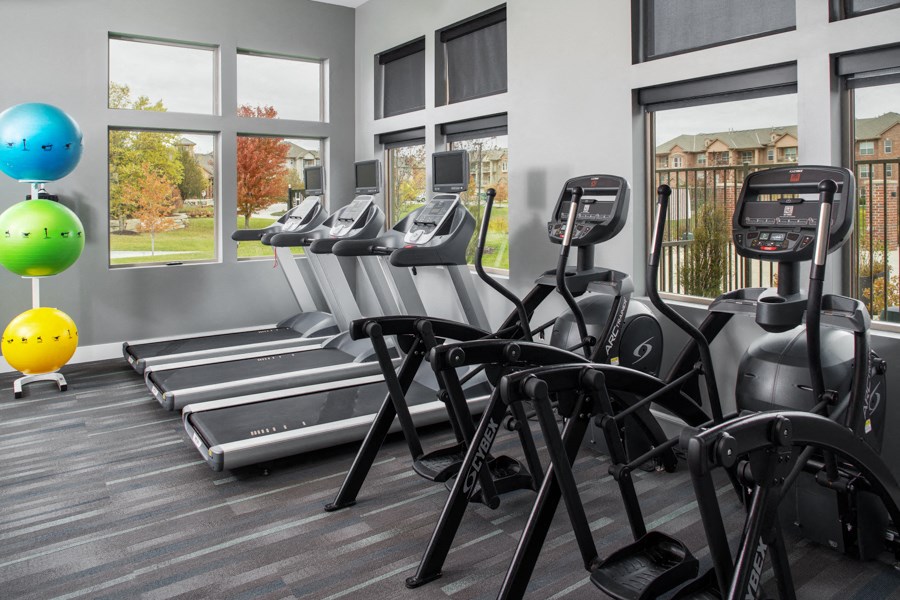 A gym with treadmills and exercise balls.