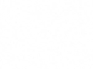 A2