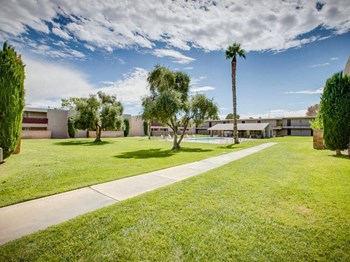 grass yard - Photo Gallery 4