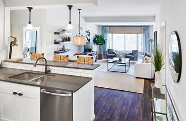 2b/2ba model