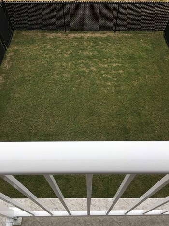 #208-3220 11th Street 3 Beds House for Rent - Photo Gallery 5