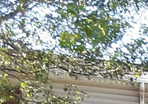 Apartment Amp Facility Management Services Pmi