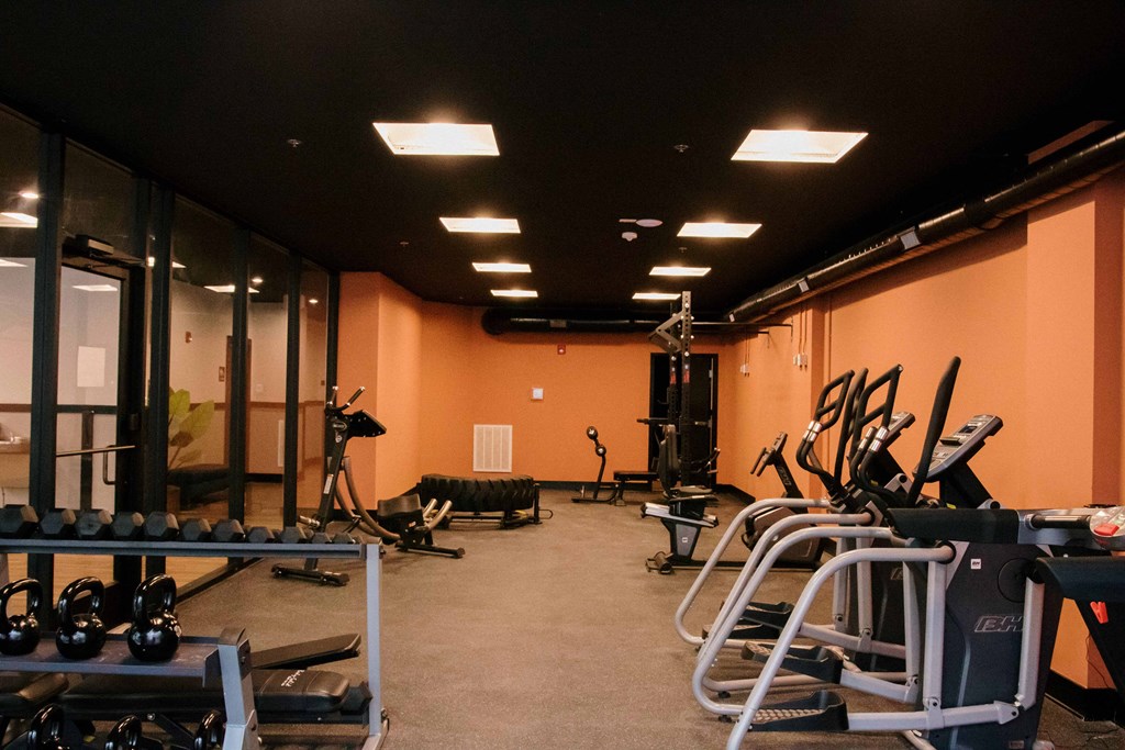 a gym with a lot of exercise equipment in it