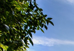 Apartments In Omaha Ne