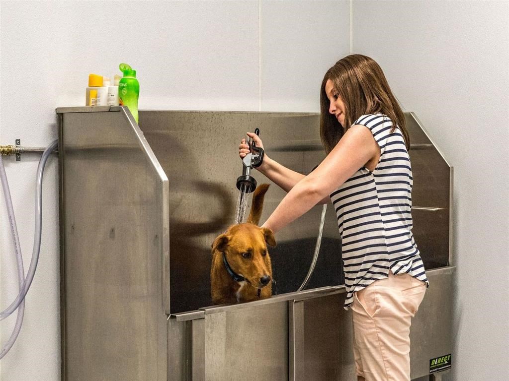 a woman is showering a dog in a bath tub