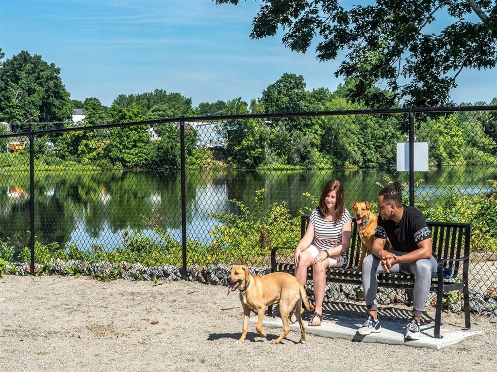 a man and woman sitting on a bench with a dog
