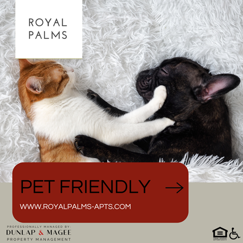 A cat and a dog are lying on a white fluffy surface.