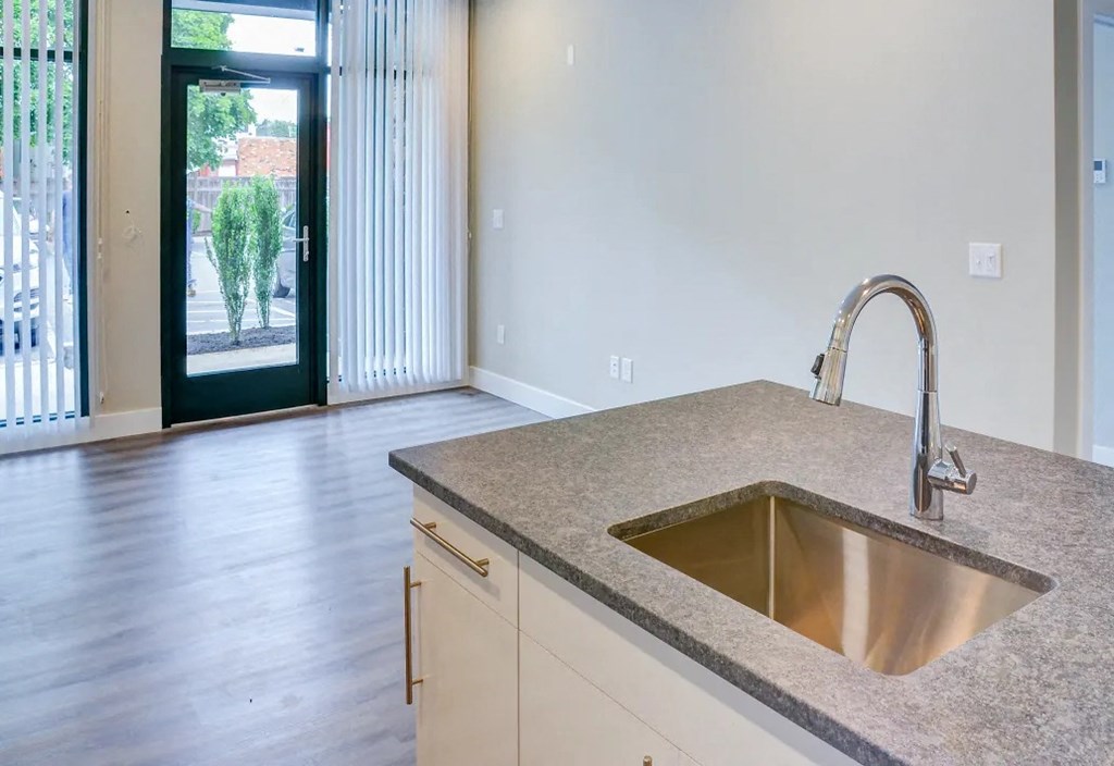 New vinyl plank flooring.