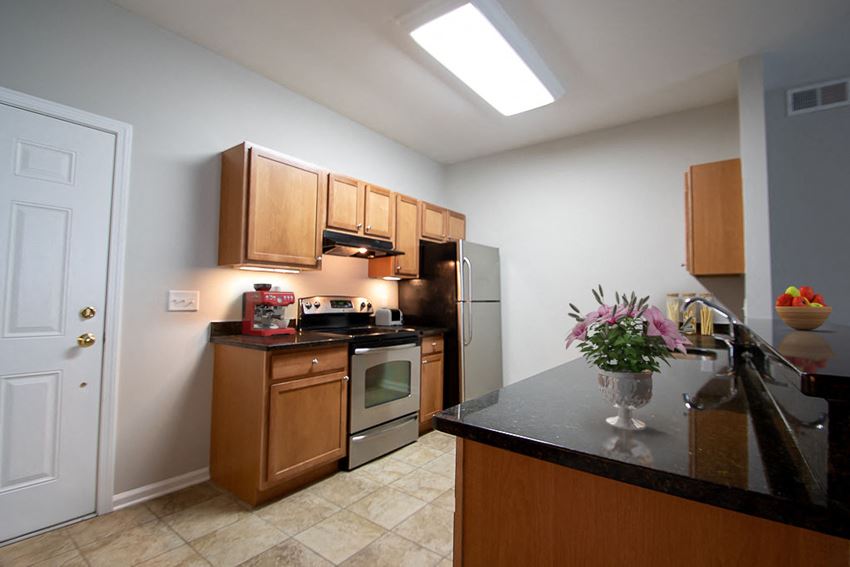 Stainless steel appliances. - Photo Gallery