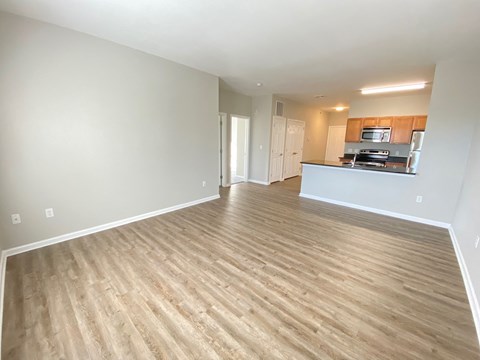Living room flooring.