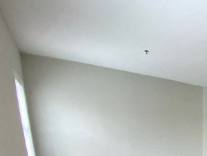 25-47 Prospect Street Studio-4 Beds Apartment for Rent - Photo Gallery 4