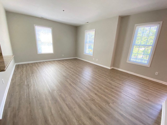 Ample natural lighting.