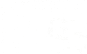 A1