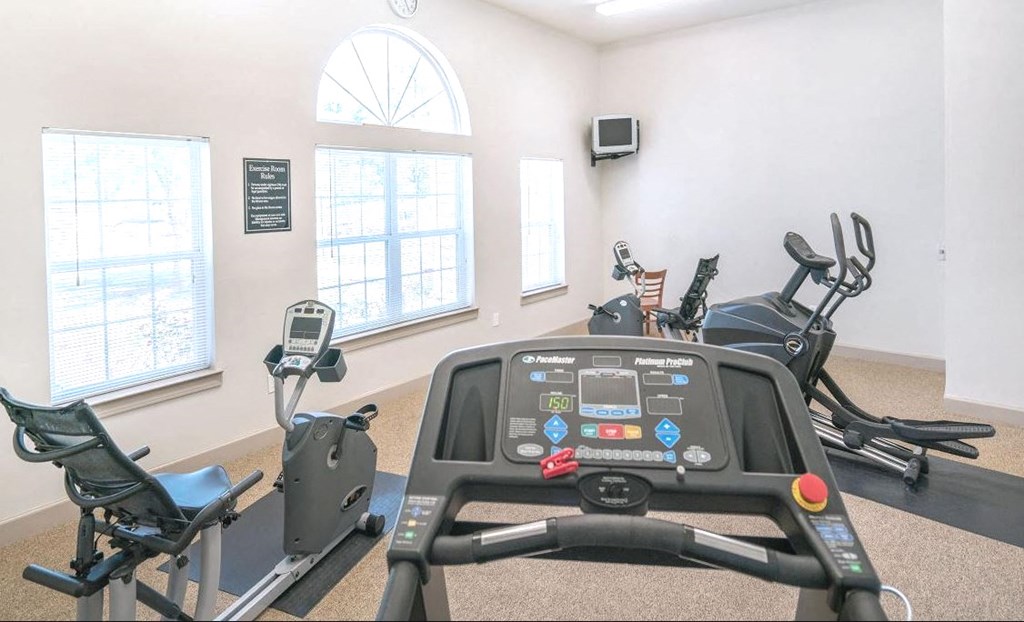 Apartment gym with a treadmill and two stationary bikes, a TV in the corner, and three large windows on the left side letting in natural light.