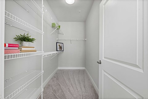 A white pantry with a door on the right.