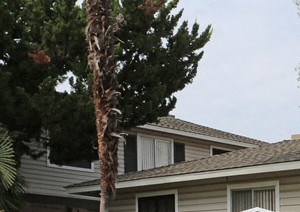 Clayton Crossing Apartments 2751 Monument Blvd Concord Ca Rentcafe