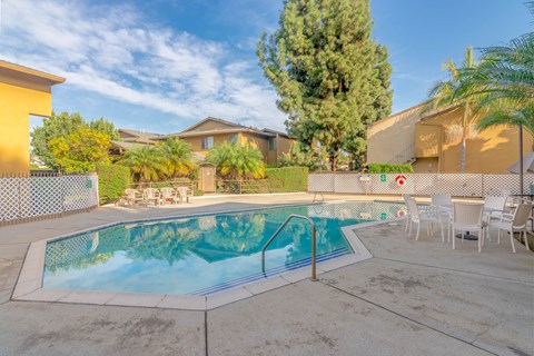 the swimming pool at the apartments for rent